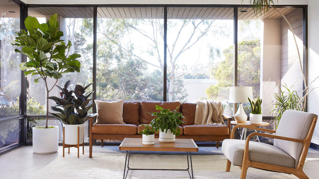 sanzula mid century modern interior design